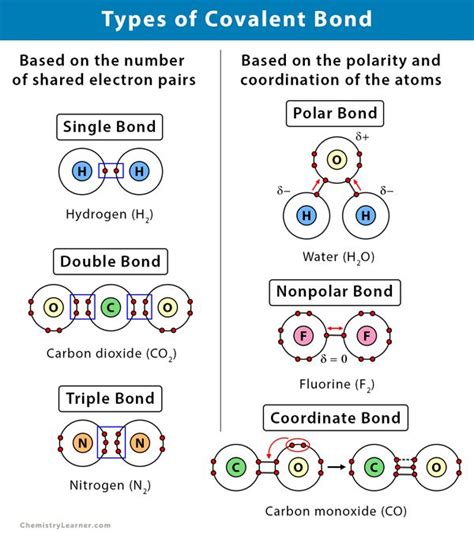 Covalent Bond: Definition, Types, and Examples 11th Chemistry ...