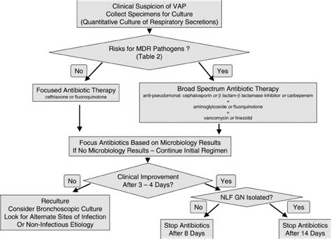 Gram Negative Rod Algorithm