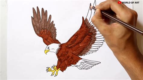 How To Draw An Eagle | How to draw a Eagle easy step by step - YouTube