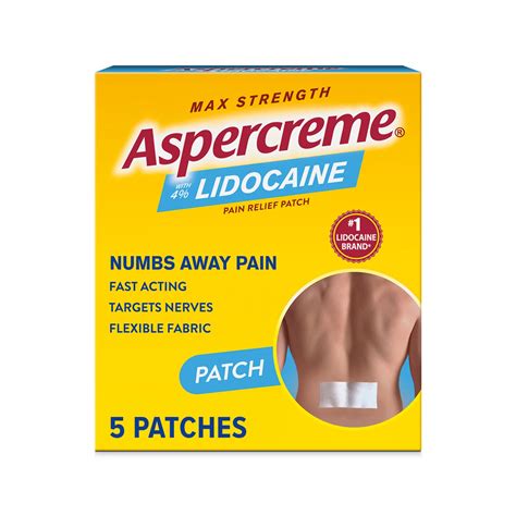 Aspercreme Lidocaine Max Strength Patch Odor Free - Shop Muscle & Joint ...