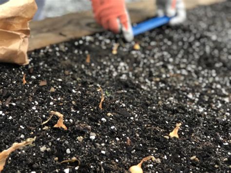 Healthy Soil, Happy Plants | Richland Library