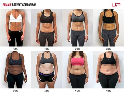 Saga difficile Trattamento female body fat percentage chart ...