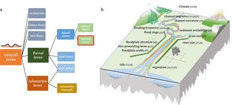 a Classification of natural levees based on their formation environment ...