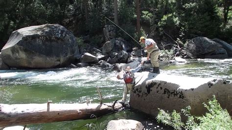 Cutthroat Trout In Yosemite National Park – Burma Travels