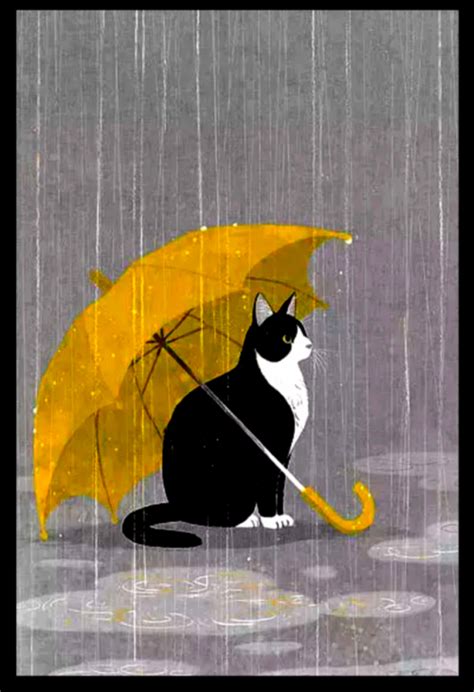 43 Top Images Cat In The Rain Theme / Cat Rain GIFs | Tenor | ozzy ...