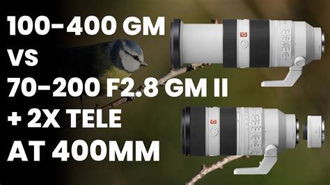 Sony 70-200 F2.8 GM II + 2x Tele VS Sony 100-400 GM AF Comparison With ...