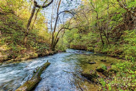 Greer Spring River Photograph by Jennifer White - Fine Art America