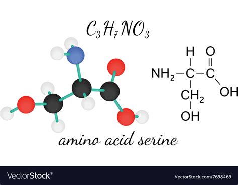 Serine Structure