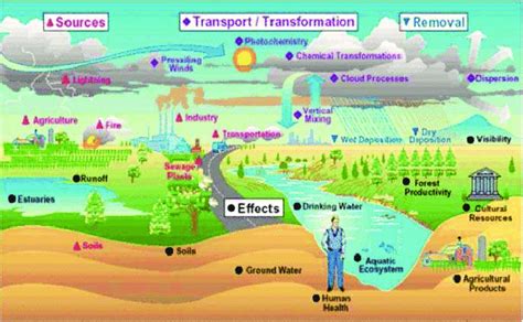 2:-The source of soil contamination. | Download Scientific Diagram