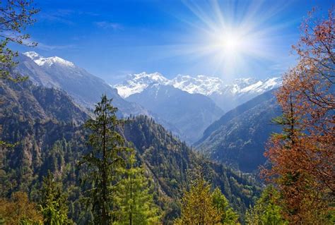 Nepal's Birds & Wildflowers - Trekking the Annapurna Sanctuary - Naturetrek