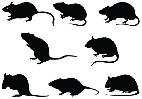 Rat Silhouette - ClipArt Best