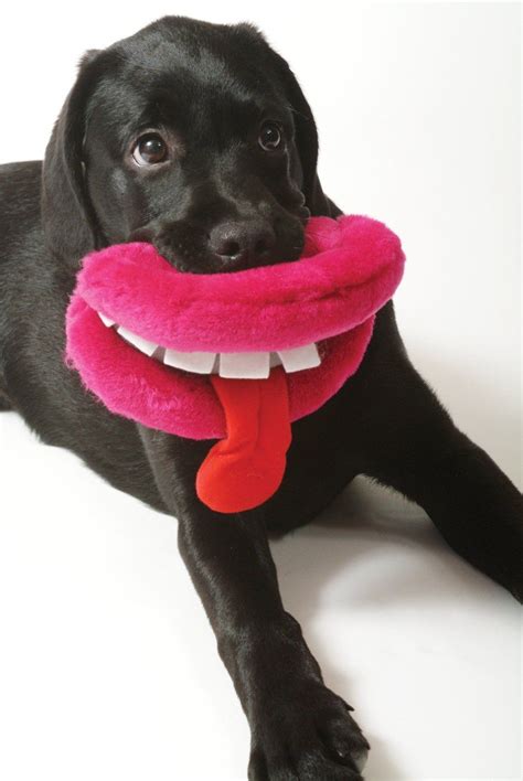 Plush Dog Lips Dog Toy: Pet Supplies Funny Dog Toys, Funny Dog Videos ...