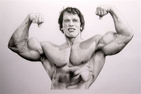 Arnold Schwarzenegger Bodybuilding Wallpapers Posters And Pictures ...