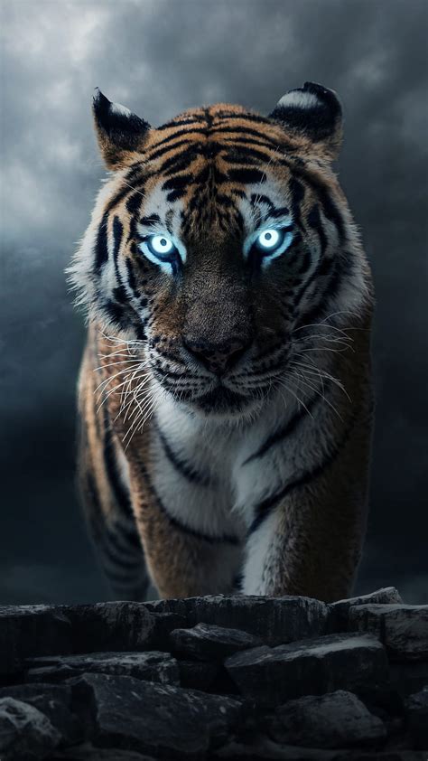 346 Wallpaper Hd Android Tiger Images - MyWeb