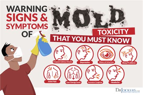 What Health Effects are Linked to Mold? - Dr Clean Air