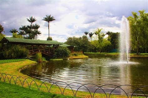 Desde BOGOTÁ...: Oasis de paz es el Jardín Botánico de Bogotá...