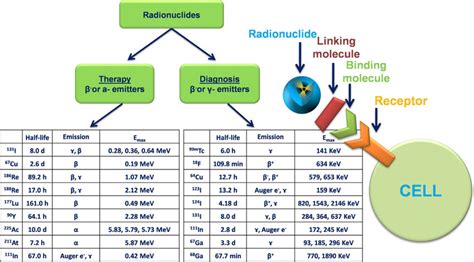 -The categories of radionuclides used as theranostics and diagnostic ...