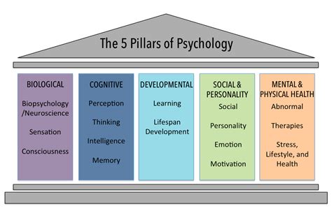 Image of five pillars, showing the biological, cognitive, developmental ...