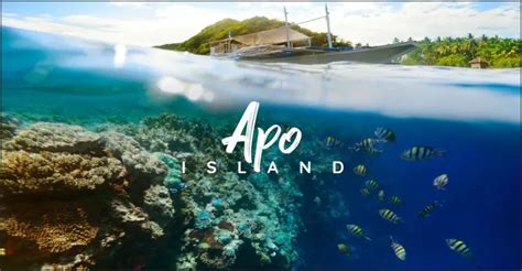 Apo Island Archives - Discover The Philippines