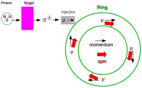 Illustrative figure showing how experiments measure the muon anomalous ...