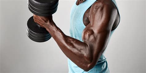 Arm Muscles: Anatomy & Function of Biceps, Triceps, Forearms | BODi