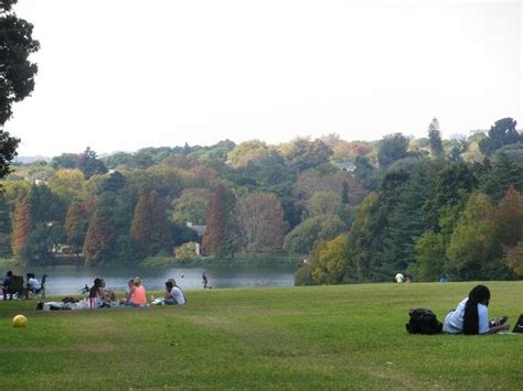 Giardini botanici di Johannesburg e diga di Emmarentia Tours e ...