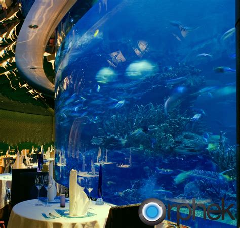 LED Aquarium Lighting Blog | Orphek: Burj Al arab aquariums