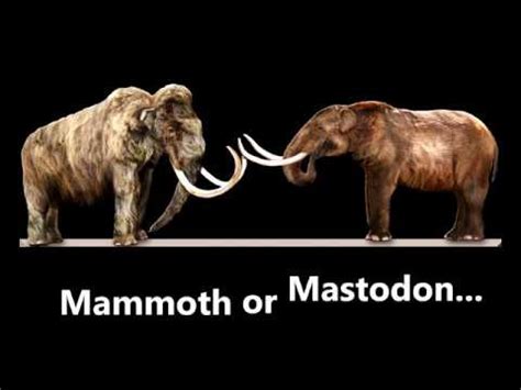 Mastodon - Mathilde Blalock