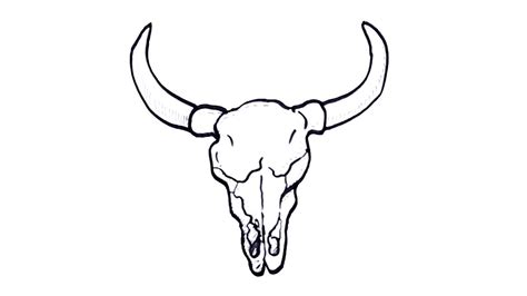 cow Skull Art Drawing Awesome