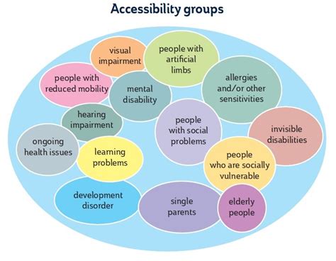 Accessibility as a special niche in European social groups - Emerging ...