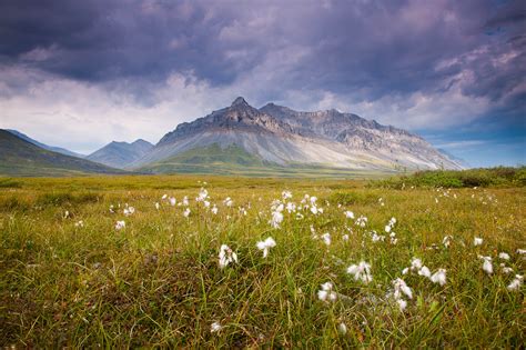 The Brooks Range in Alaska's Arctic Region | Travel Alaska