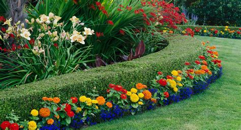 Attractive Landscaping Ideas for Any Property - ALD