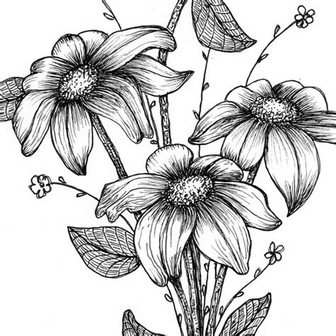 Pen Ink Drawing at GetDrawings | Free download