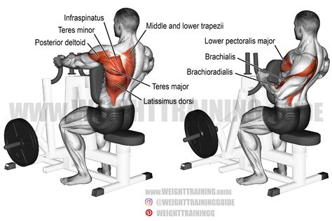 Machine one-arm row exercise guide and video | Weight Training Guide