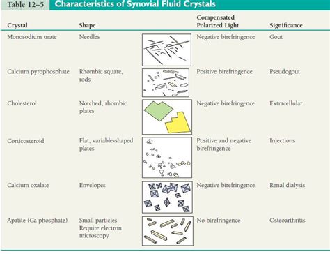 Urine Crystals Forms | Medical Laboratories