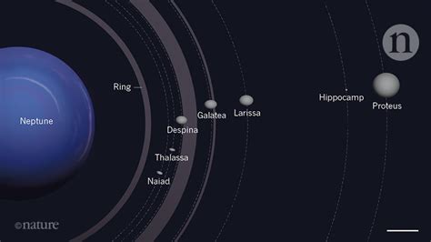 A new moon for Neptune