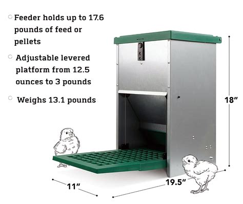 The best Rat Proof Feeder for chickens - Chicken Farmers Union