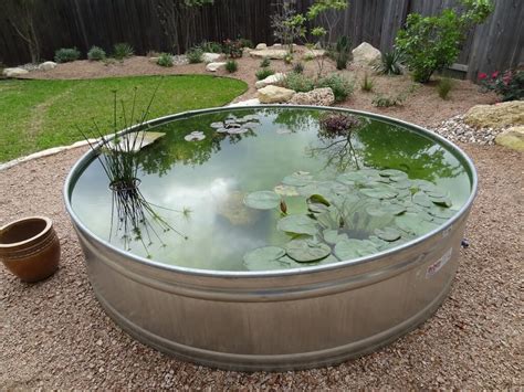 18 Best DIY Backyard Pond Ideas and Designs for 2023