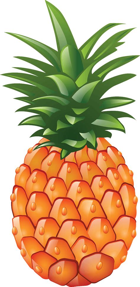 Download High Quality pineapple clip art adorable Transparent PNG ...