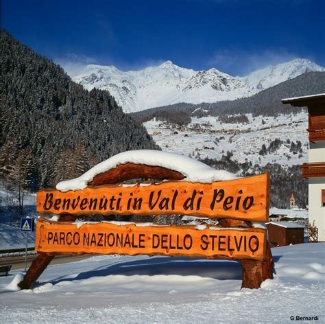 Stelvio National Park - Dolomiti - Italy | Casa ai Laresi