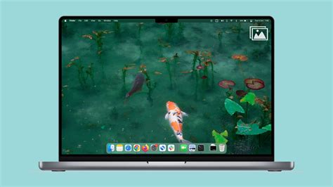 3 ways to quickly find all screenshots on your Mac