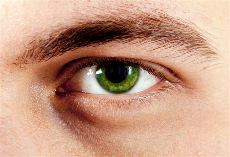 Green Eyes: Learn Why People Who Have Them Are So Unique! - Guy Counseling