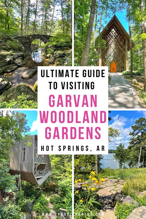 Ultimate Guide To Visiting Garvan Woodland Gardens in Hot Springs ...