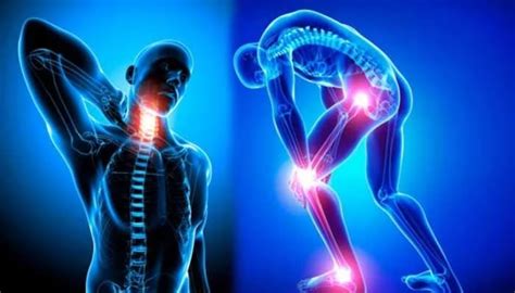 5 Symptoms Indicates Weak Bones & Causes of Weak bones | ఈ 5 లక్షణాలు ...