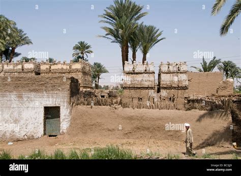 Nile River Egypt Farm Farmer agriculture field old village on the nile ...