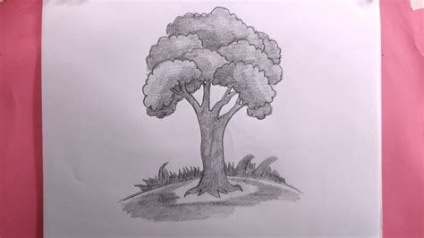 how to draw tree easy with pencil/easy tree drawing - YouTube