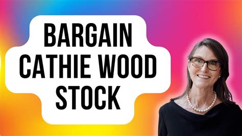 1 Cathie Wood Stock Down 36% You'll Regret Not Buying on the Dip | The ...