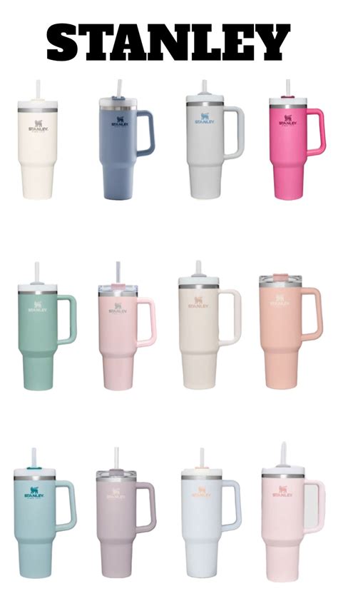 Stanley cups in 2023 | Trendy water bottles, Cute cups, Cute coffee cups