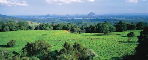 sunshine-coast-hinterland-1135x464cy – Regional Development Australia ...