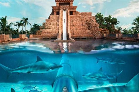 Atlantic Aquaventure Water Park - Dubai UAE (Shared) 2022 - Viator